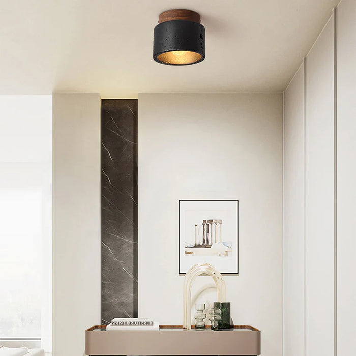 Ceiling Lights