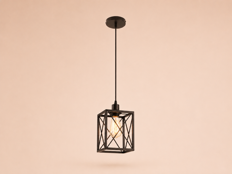Black Cage Pendant Light